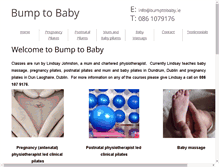 Tablet Screenshot of bumptobaby.ie